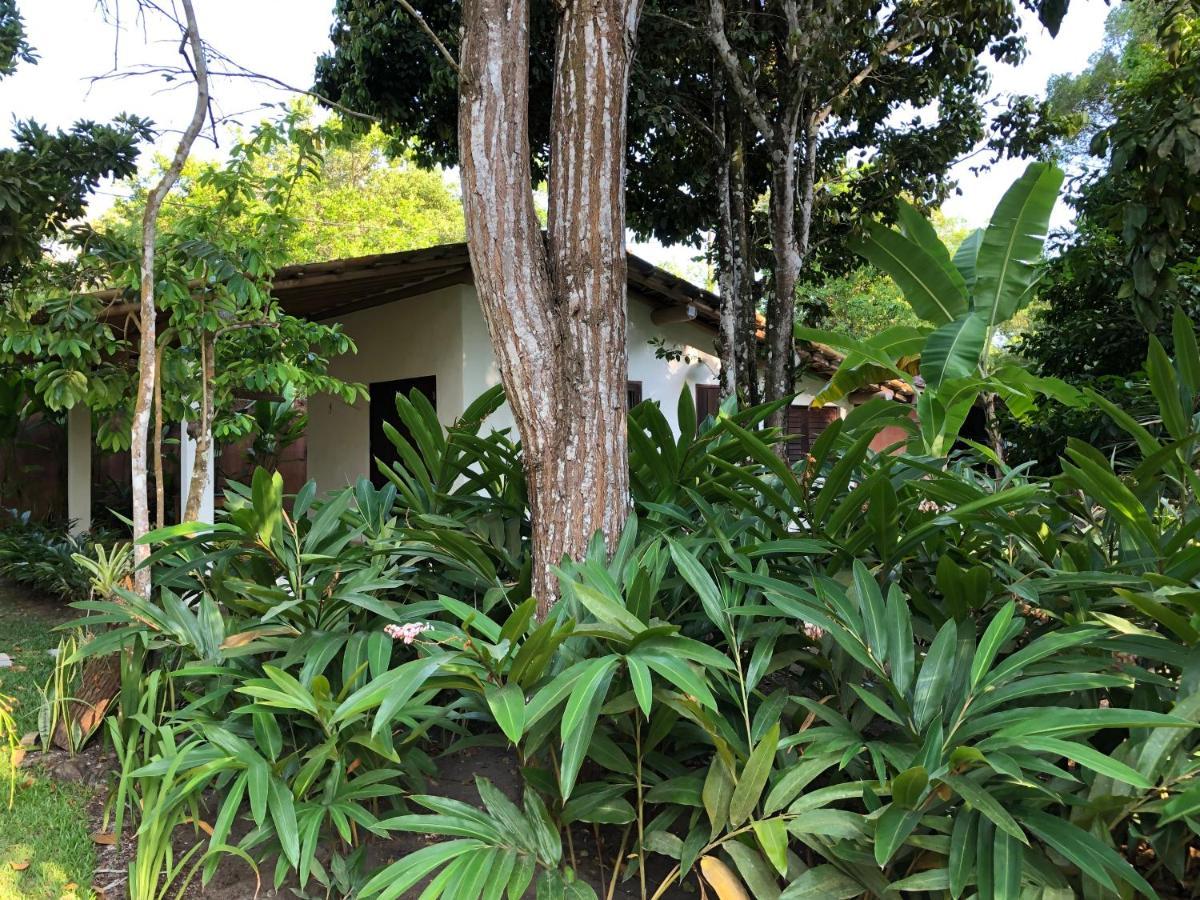 Casa Aracua Trancoso Villa ภายนอก รูปภาพ